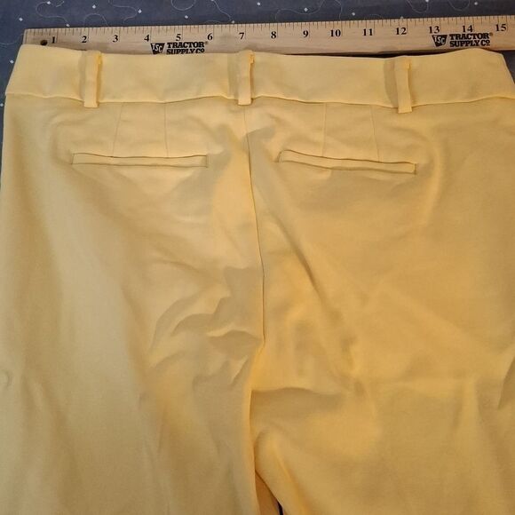 Talbots Hamshire Ankle pants with Button Detail size 4 petite - Picture 4 of 5